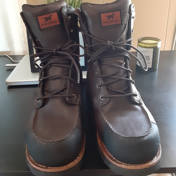 irish setter king toe